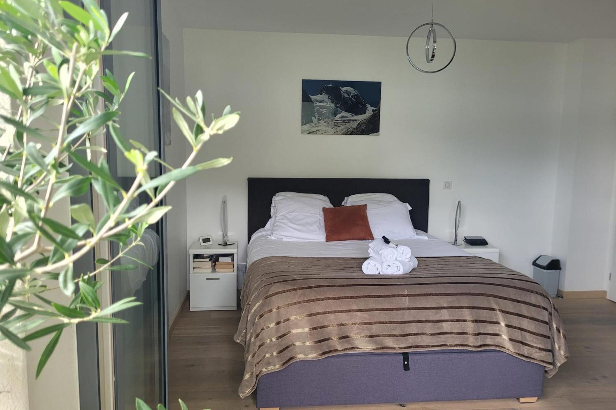 Le Tableau Du Lac 507 - 2 Bedrooms Apartment With Lake View Terrace アヌシー エクステリア 写真